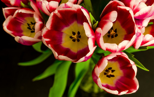 707819 (a): :2048x1289